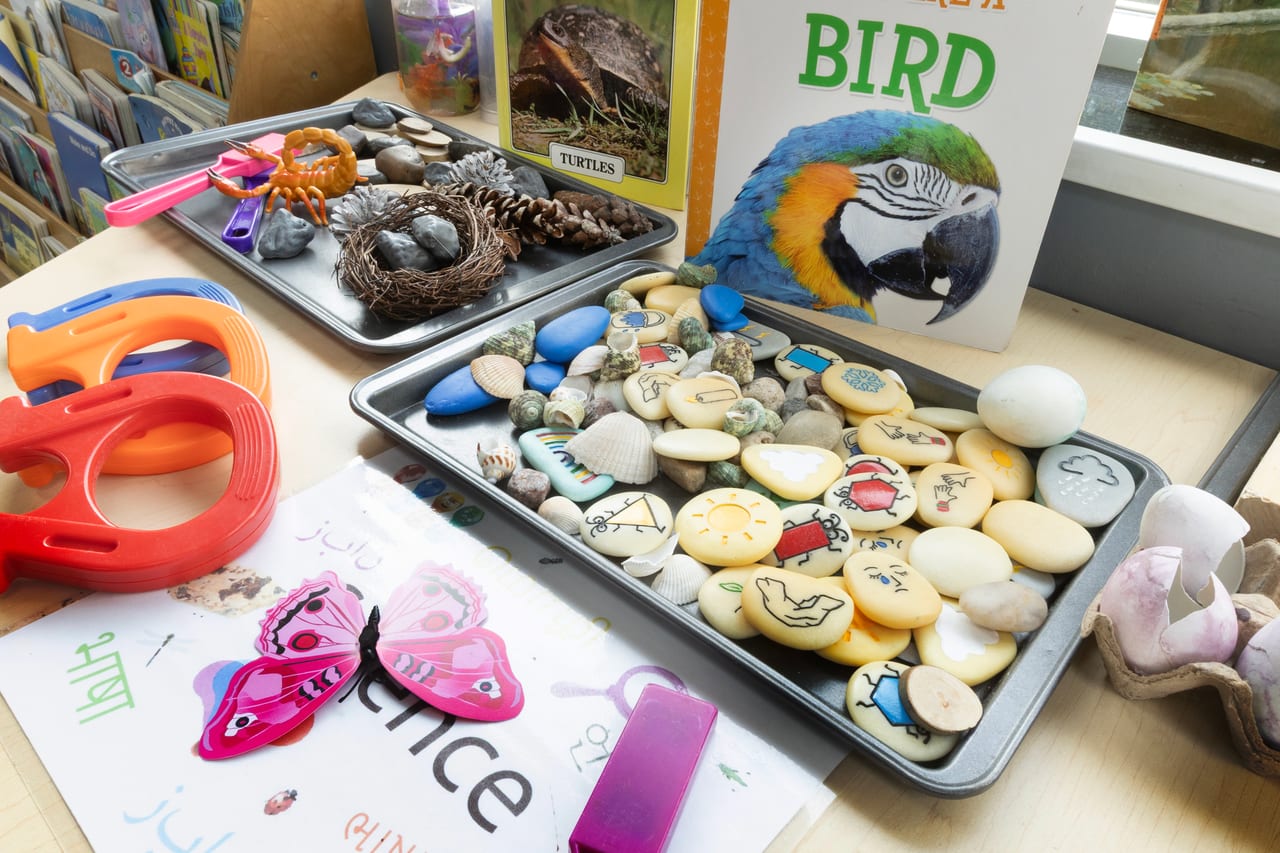 A bird and nature discovery table with painted stones, nests and magnifiers
