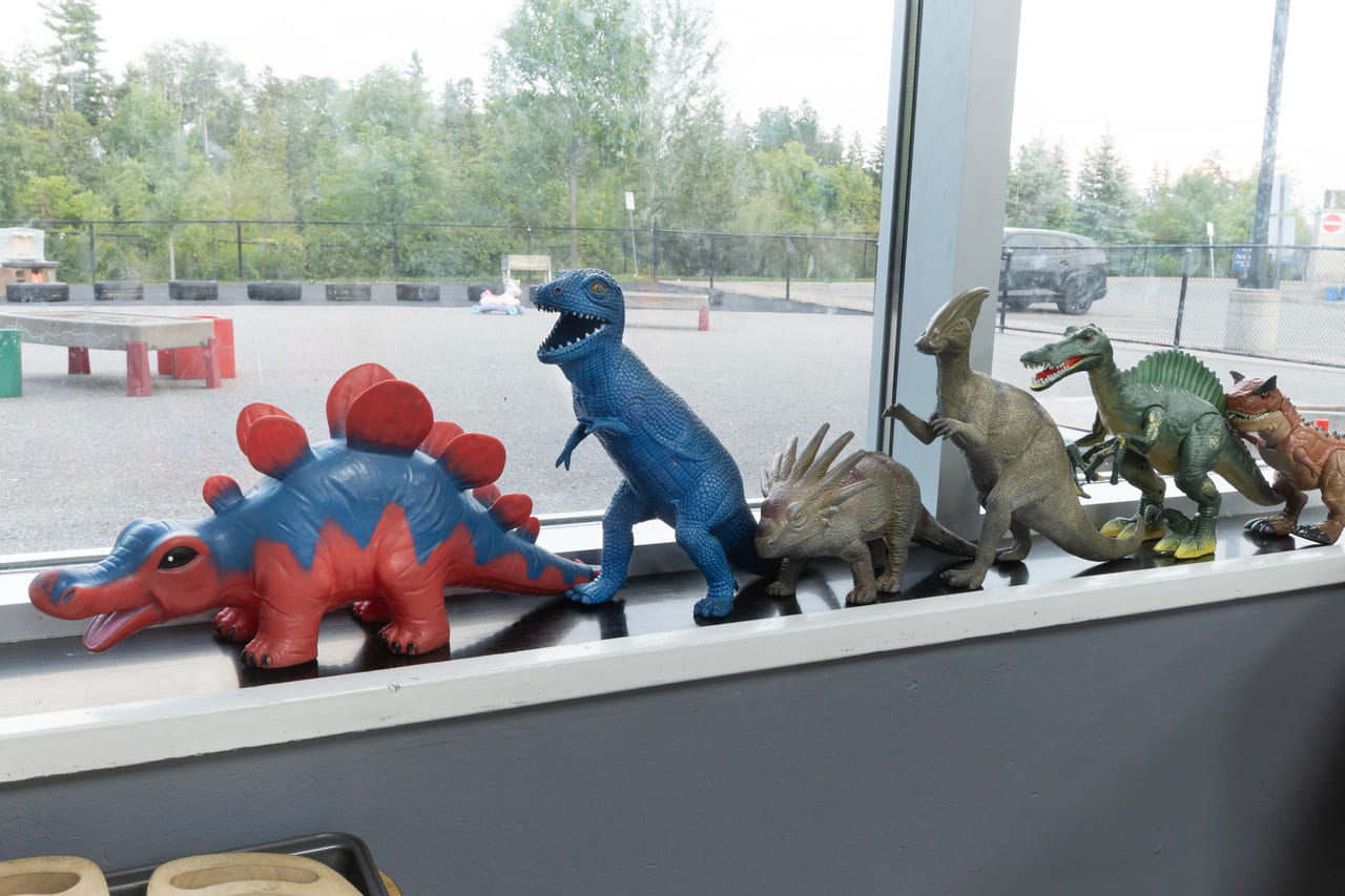 Toy dinosaurs lined up along a sunny classroom windowsill