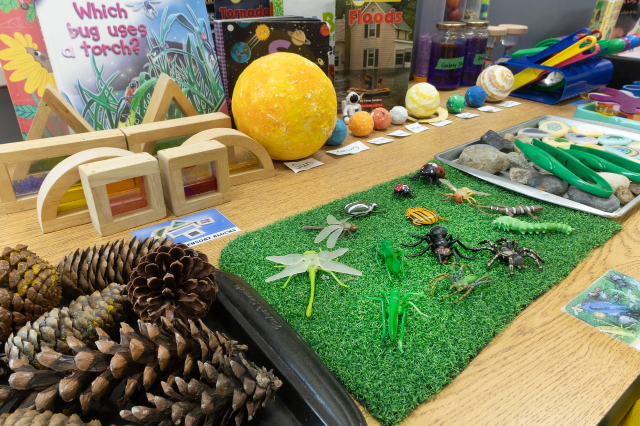 A small-world tray of grass, pinecones and insect models with a “Which bug uses camouflage?” card