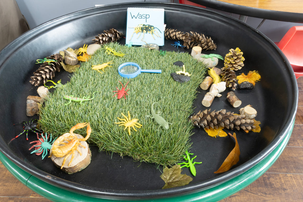 A nature tray with grass, pinecones and insect models to investigate