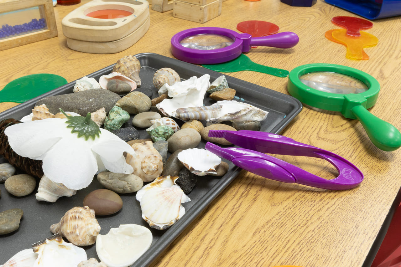 A tray of rocks and shells with magnifying glasses and tongs for preschool investigation